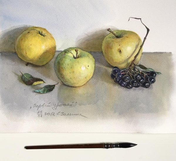 Залегина Елизавета акварель