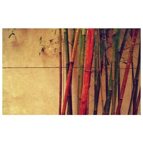 Бамбук в интерьере