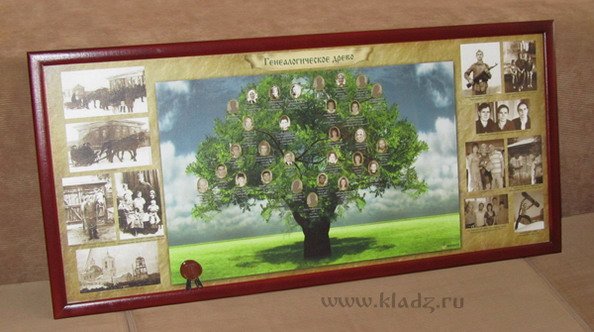 Родословное дерево на холсте