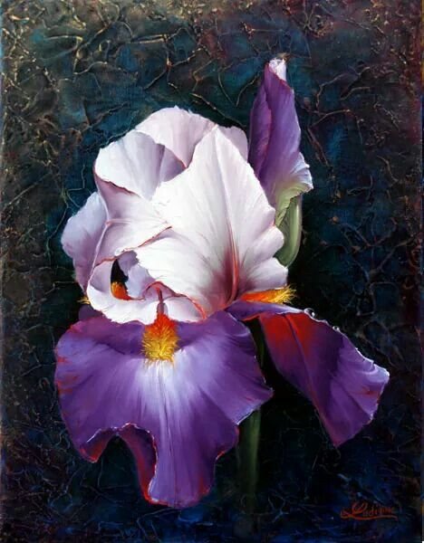 Эдуард Джафаров живопись маслом ирисы