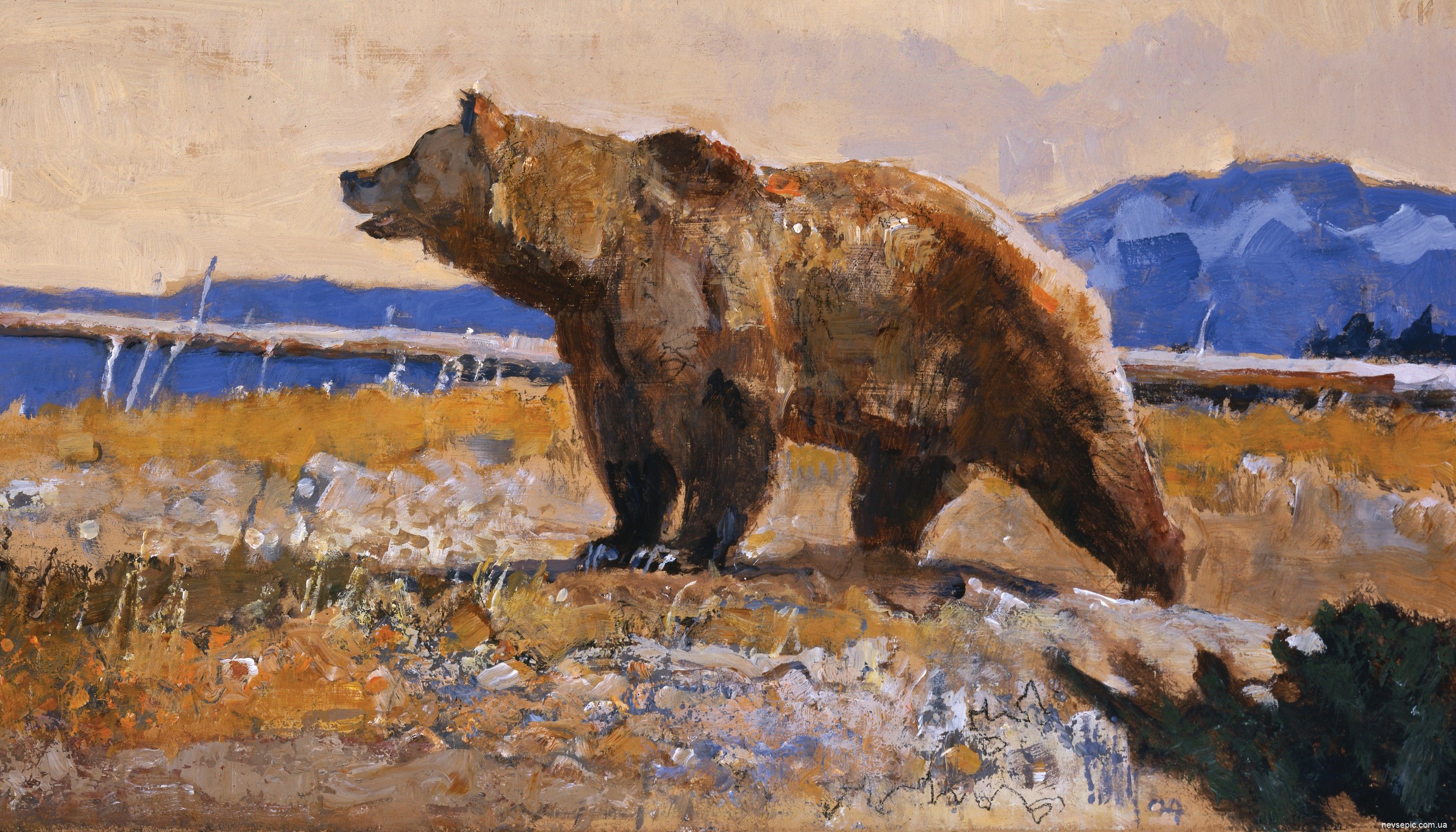 Медведь в искусстве