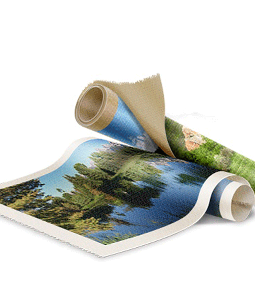 Эко холст (48 фото)