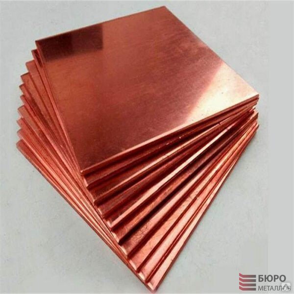 Монстера с поталью