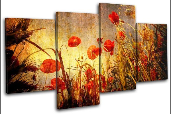 Зернистость холста для живописи