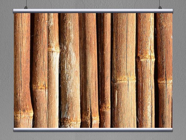 Бамбук картина маслом