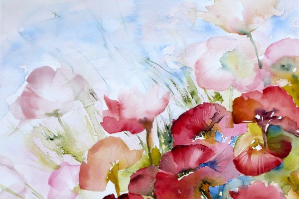 Жанна Когай пионы