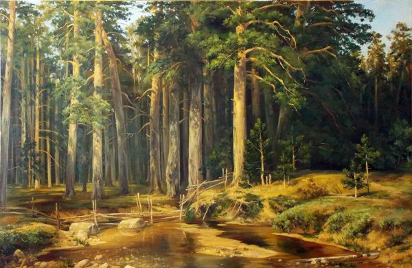 Корабельная роща 1898 Шишкин