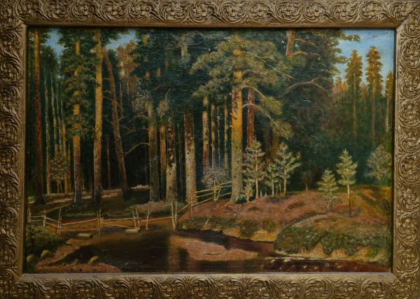 Шишкин Лесное озеро