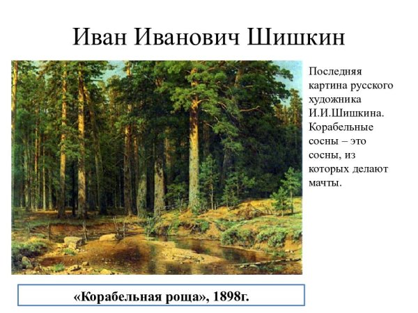 Корабельная роща 1898 Шишкин