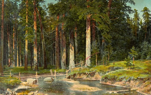 Шишкин Иван Иванович Корабельная роща