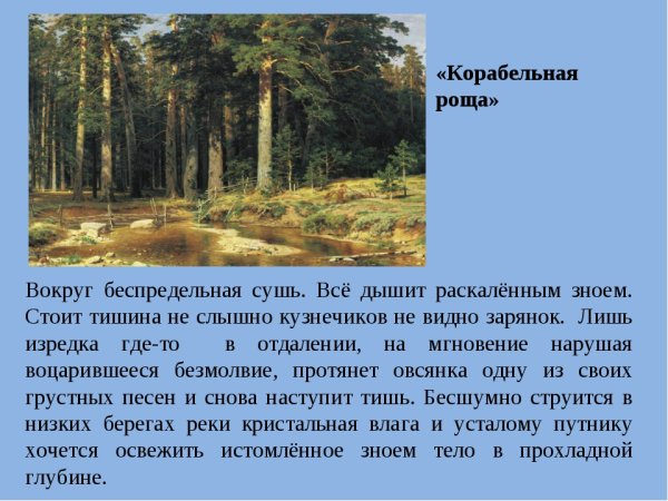 Описание картины Шишкина Корабельная роща