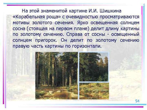 Описать картину Шишкин Корабельная роща