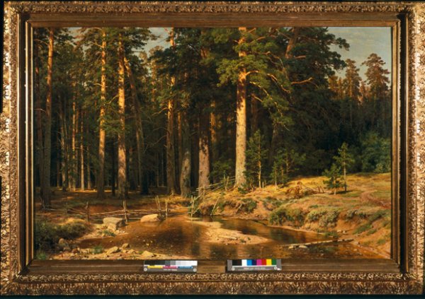 Репродукцию картины Шишкина Корабельная роща