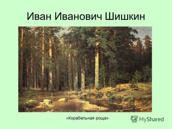 Описать картину Шишкина Корабельная роща