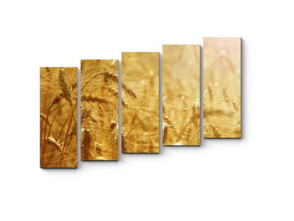 Золотой холст