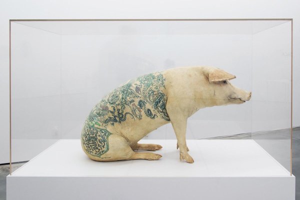 ВИМ Дельвуа