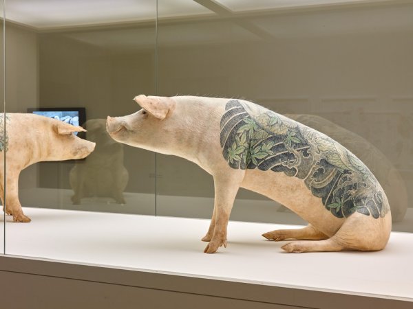 ВИМ Дельвуа Дисней