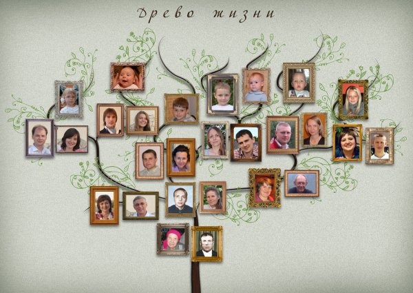 Дерево жизни с фотографиями