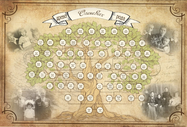 Составление древа родословной