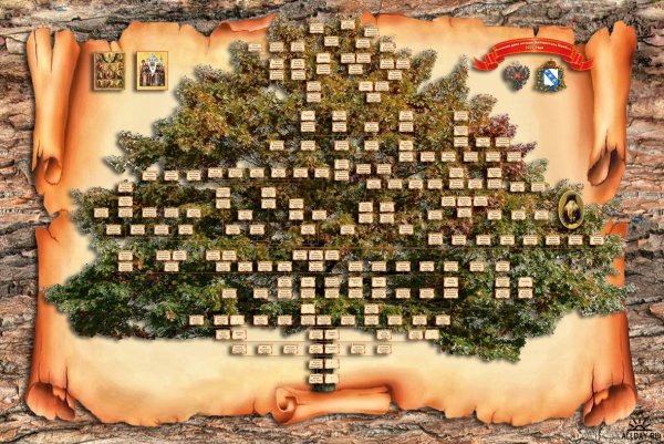 Генеалог Древо семьи