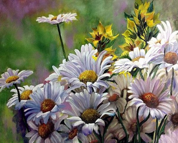 Картина по номерам "ромашки"