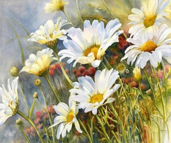 Алмазная мозаика ромашки Гранни