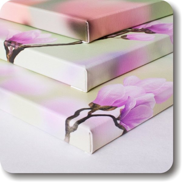 Картина с галерейной натяжкой