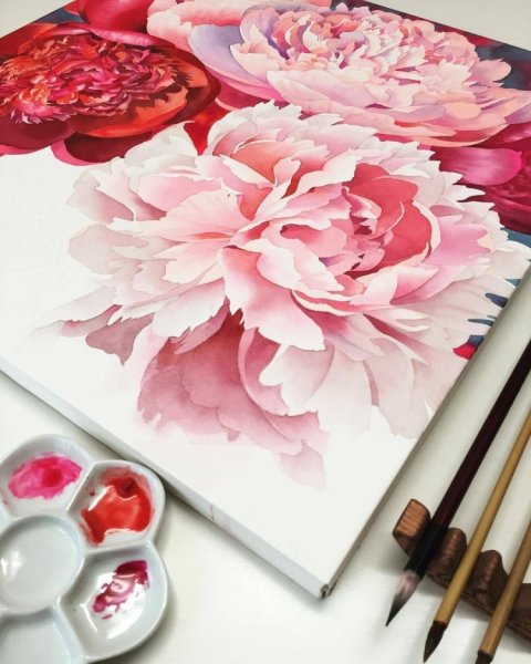 Пионы для рисования акриловыми красками