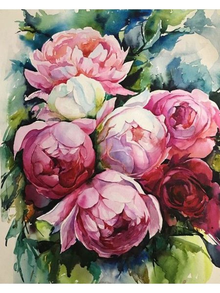 Жанна Когай пионы