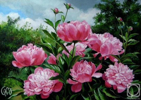 Куст пионов маслом