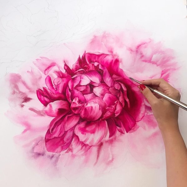 Пионы гуашью