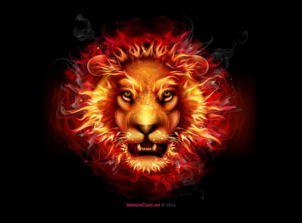 Бруно Августо картина Лев