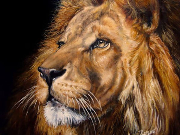 Огненный Лев