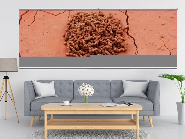 Рейчел Дейн Ботанический барельеф