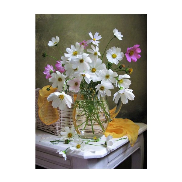 Елена Перминова космеи