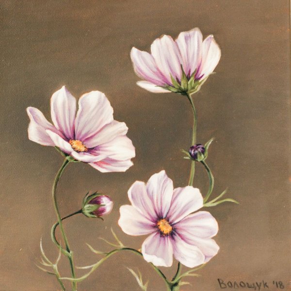 Космея картины художников