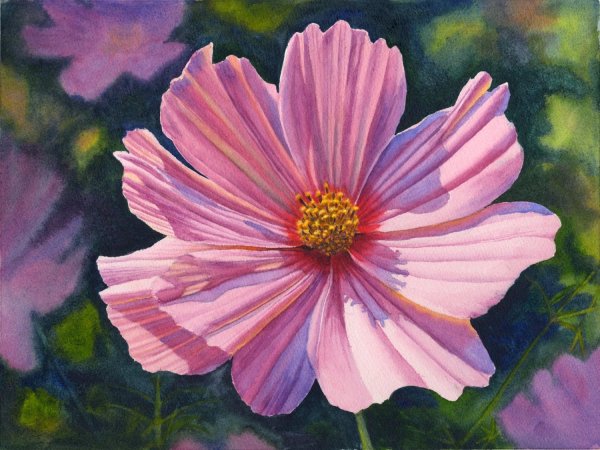 Нежная акварель Rachel MCNAUGHTON