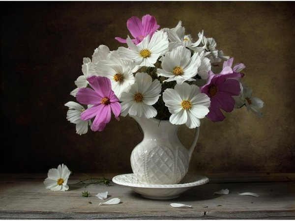 Космея пастелью