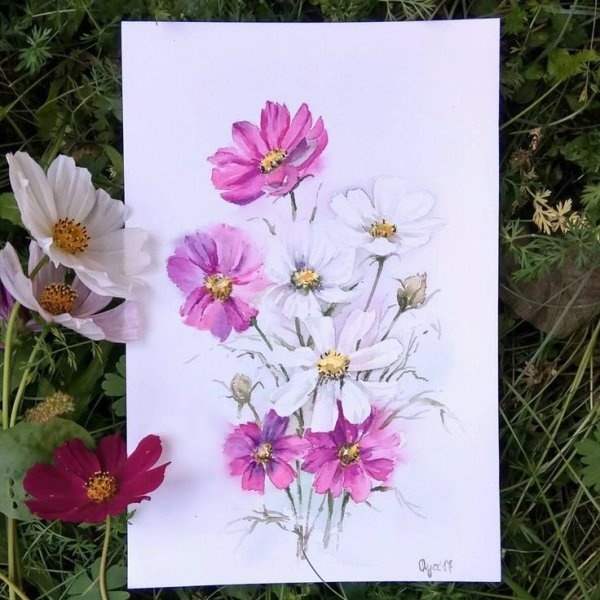 Космея. Людмила Скрипченко