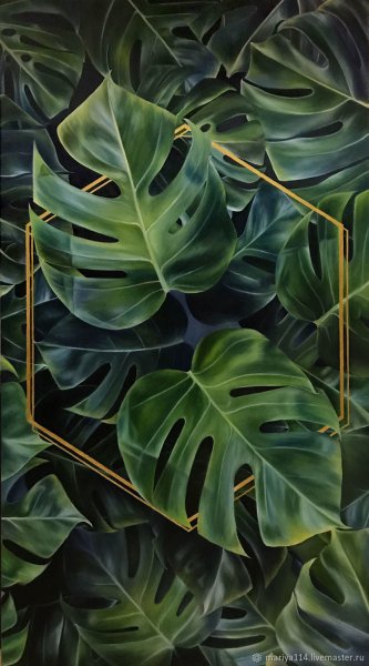 Постеры на стену монстера