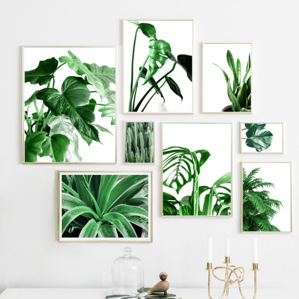 Листья монстеры в интерьере