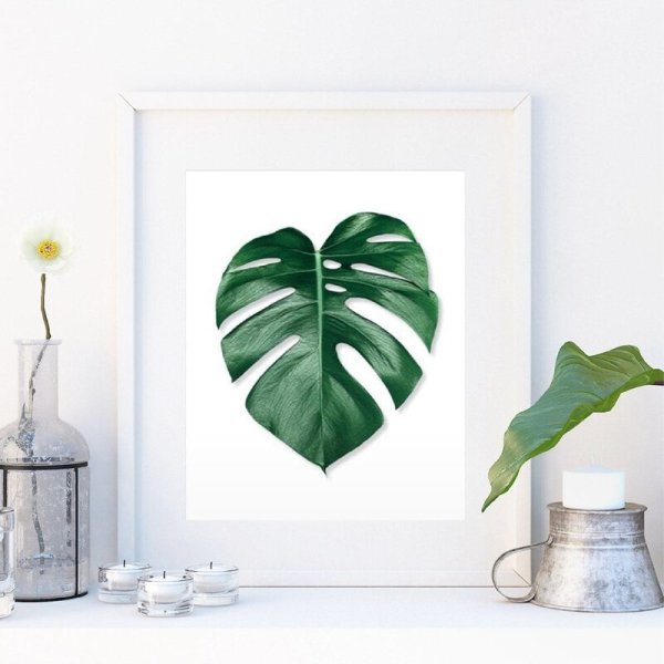 Листья монстеры в интерьере