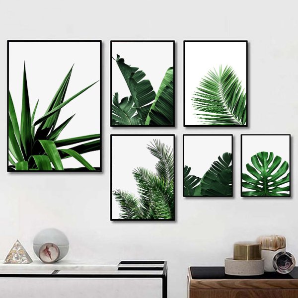 Листья монстеры на стене