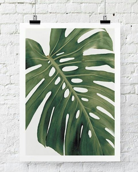 Картина тропические листья Visionnaire