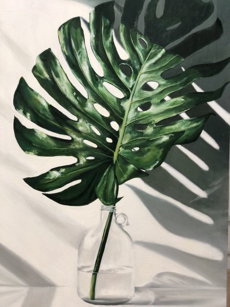 Монстера скетчинг