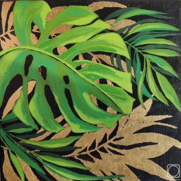 Monstera SP undetermined