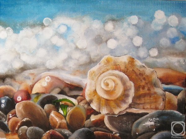 Морские раковины в живописи