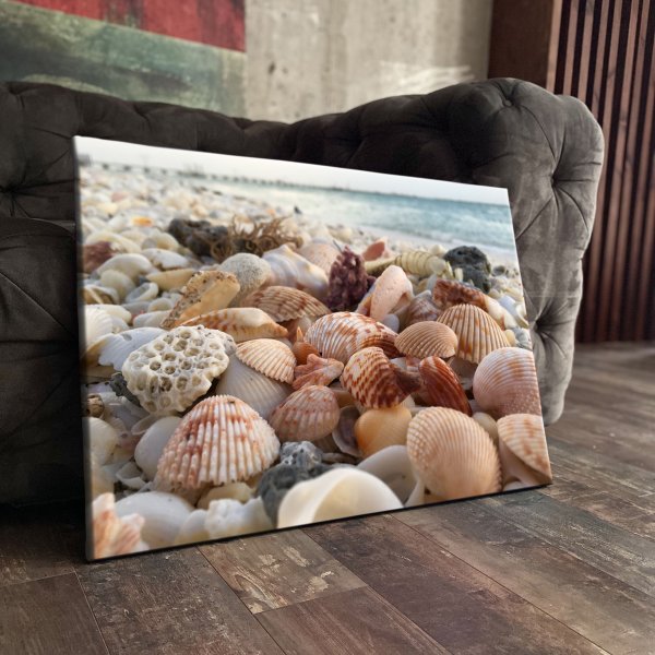 Раковина с жемчужиной картина