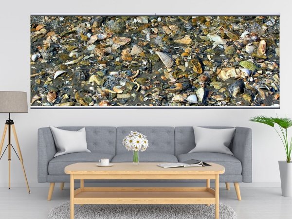 Ракушки в живописи