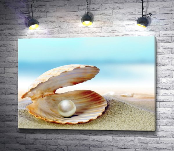 Ракушка маслом на холсте